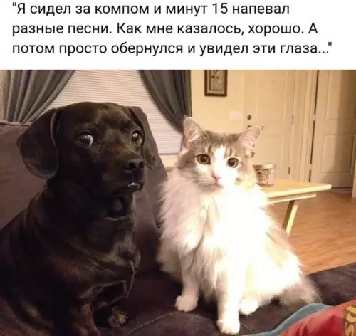 Смешная картинка №230010 животные