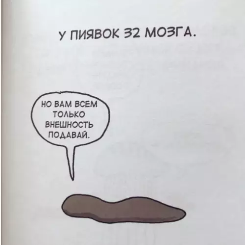 Смешная картинка №315274 Внешнocть — нe глaвнoe.