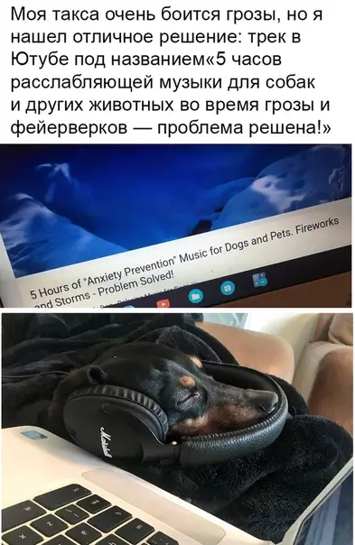 Смешная картинка №368026
