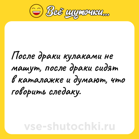Шутка: После драки кулаками не машут, после драки сидят в каталажке и думают, что говорить следаку.