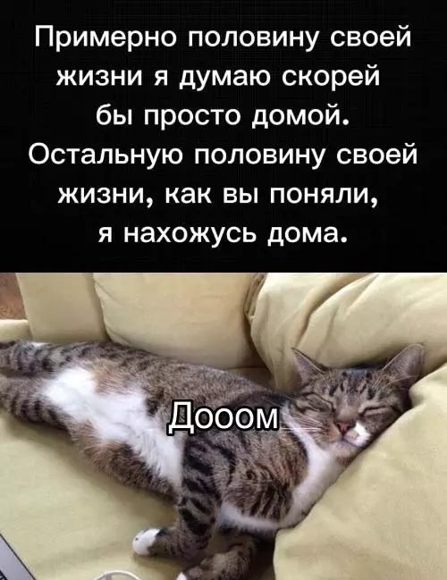 Смешная картинка №724075