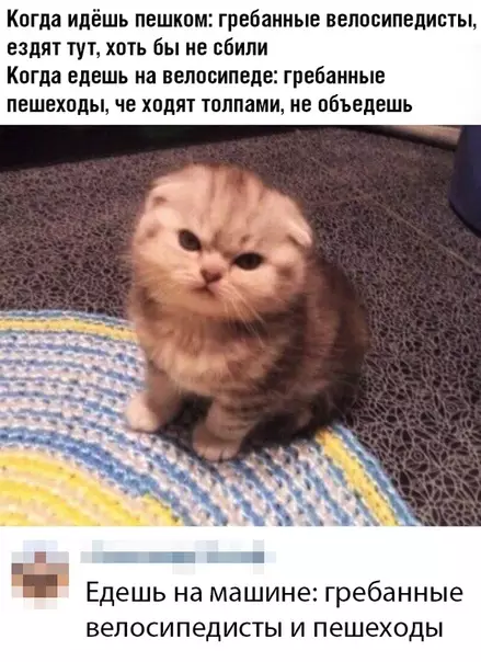 Смешная картинка №364968