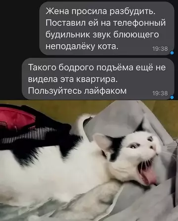 Смешная картинка №733636