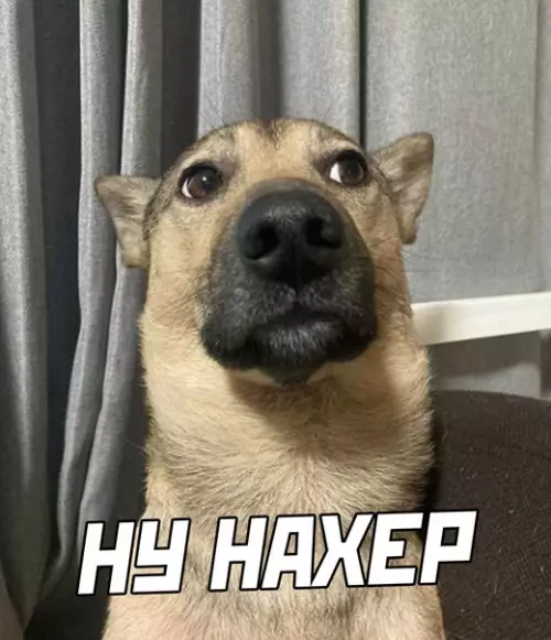 продолжение Смешная картинка №582351
