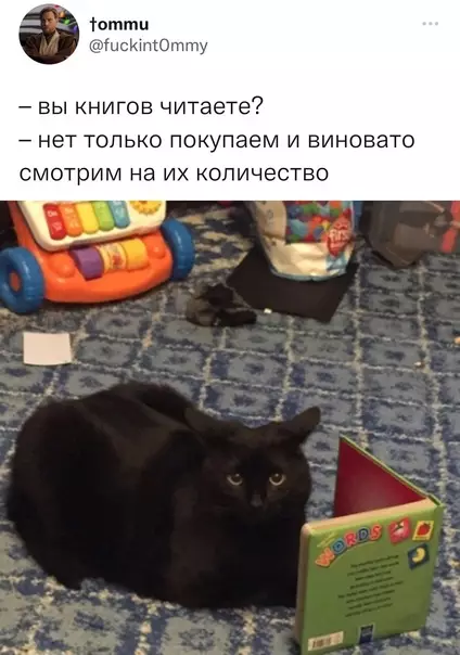 Смешная картинка №616048