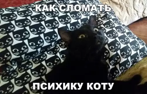 Смешная картинка №229503