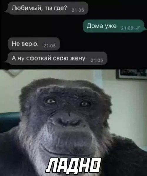 Смешная картинка №654113