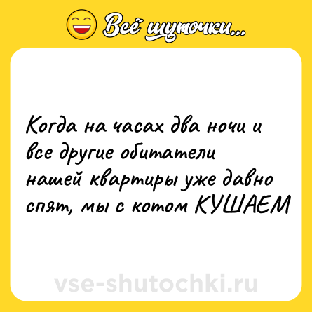 Шутка: Когда на часах два ночи и все другие обитатели нашей квартиры уже давно спят, мы с котом КУШАЕМ
