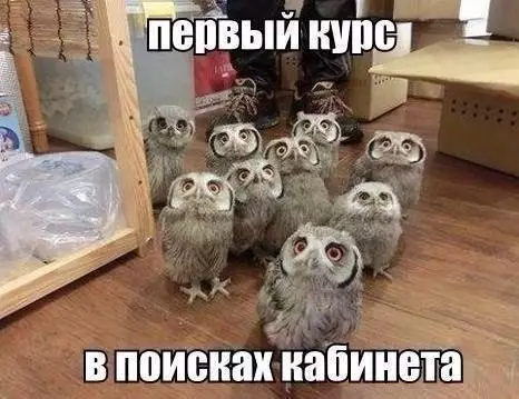 Смешная картинка №186377