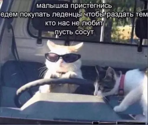 Смешная картинка №777512