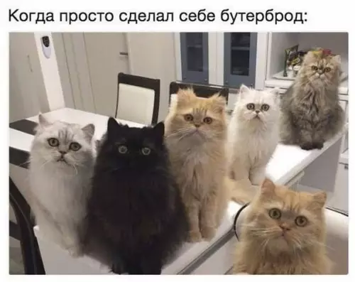 Смешная картинка №227802