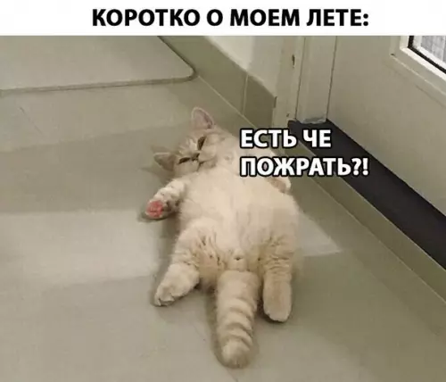 Смешная картинка №280230