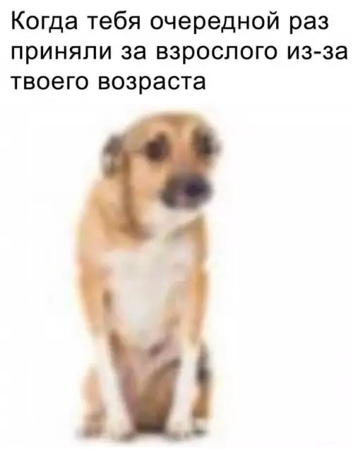 Смешная картинка №789277