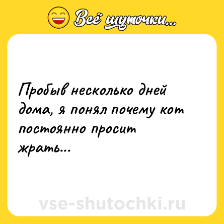 Шутка: Пробыв несколько дней дома, я понял почему кот постоянно просит жрать...