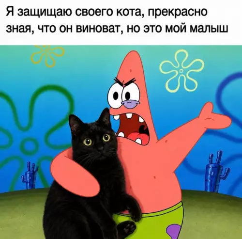 Я и мой пушистый преступник 🐈‍⬛😂 - я защищаю своего кота, прекрасно зная, что он виноват, но