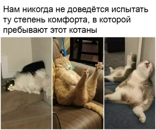 Смешная картинка №382041