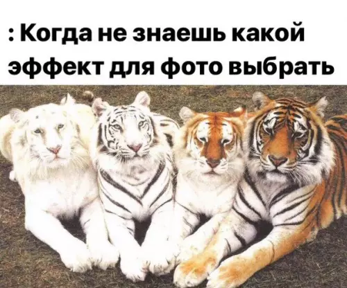 Смешная картинка №226058