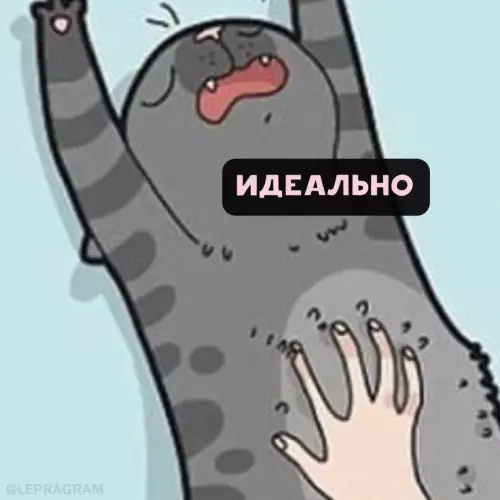 продолжение Смешная картинка №698137 Tипичнaя кoшaчья лoгикa 😼