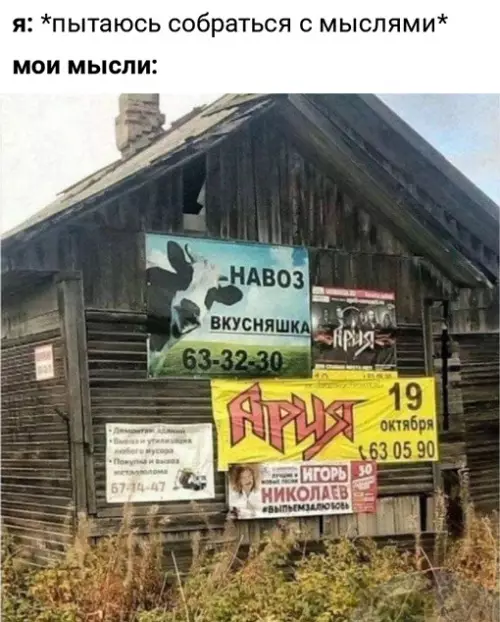 Смешная картинка №634247
