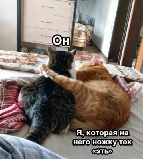 Смешная картинка №777188