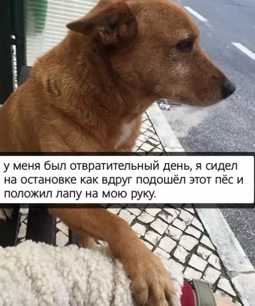 Смешная картинка №494516 Бери его и никогда не отпускай!