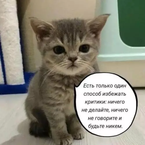 Смешная картинка №713366