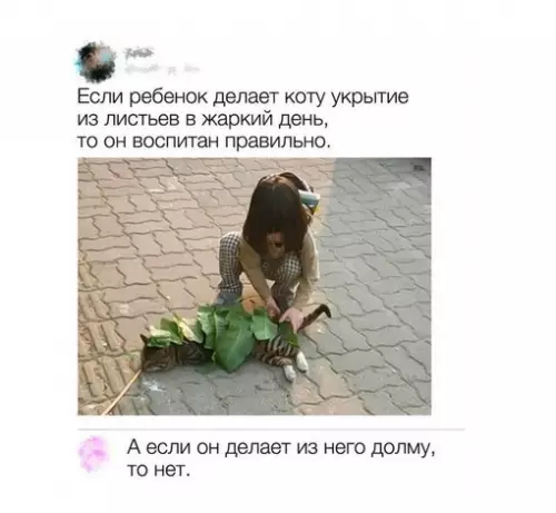 Смешная картинка №645210