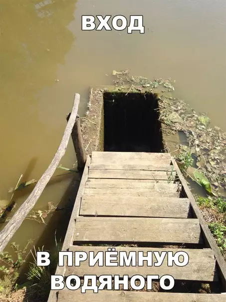 Смешная картинка №254104