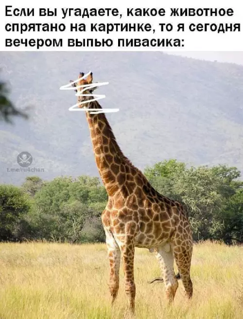 Смешная картинка №683480