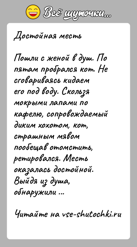 История: Достойная местьПошли с женой в душ. По пятам пробрался кот. Не сговариваясь кидаем его под воду. Скользя мокрыми лапами по