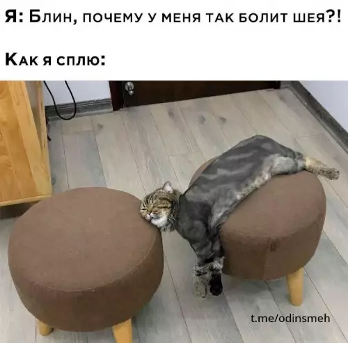 Смешная картинка №666205 картинки