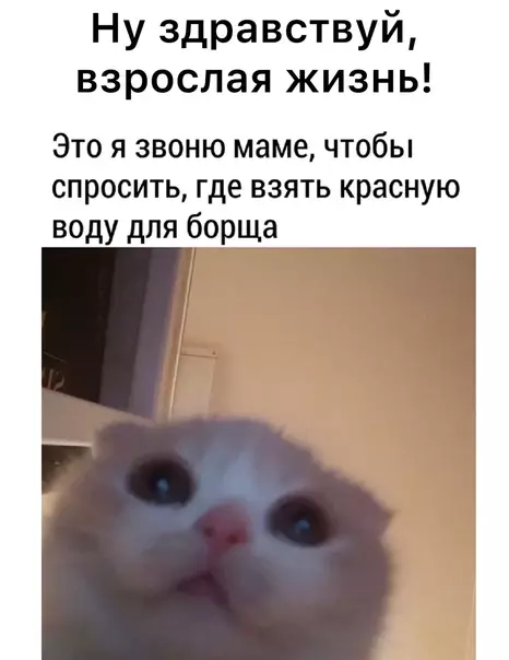 Смешная картинка №589305
