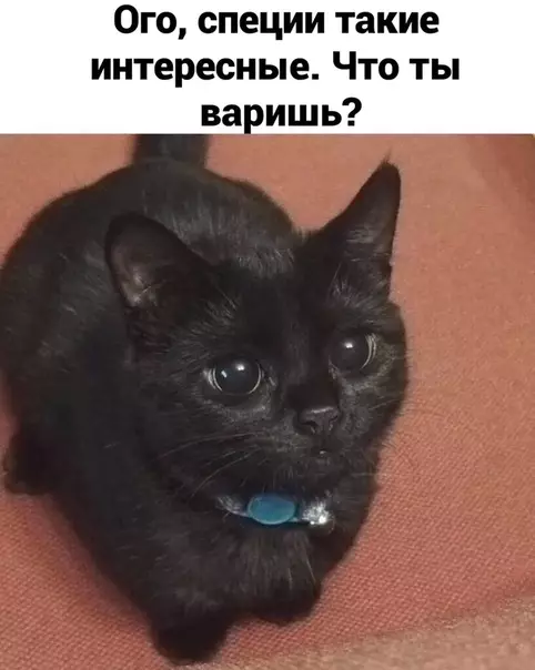 Смешная картинка №532325