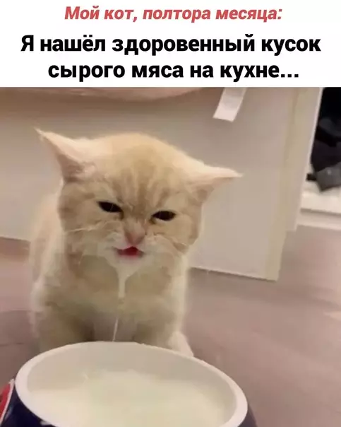 Смешная картинка №572859