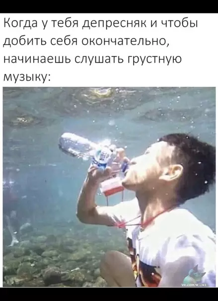 Смешная картинка №388532