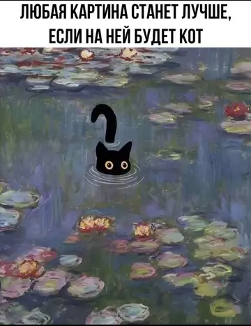 Смешная картинка №767331 Красивое котовое