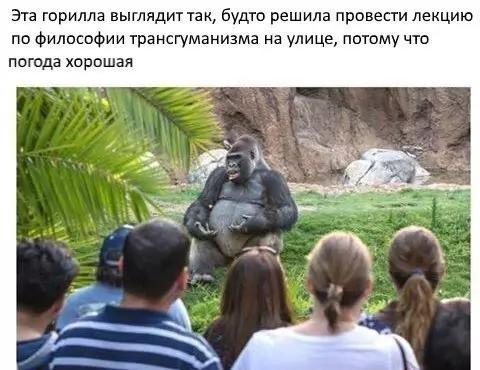 Смешная картинка №244535