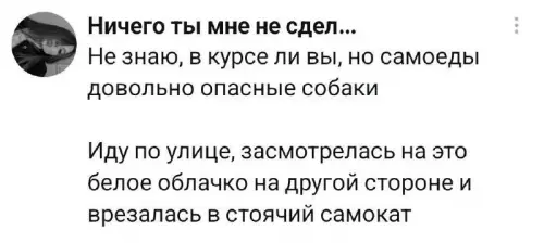 Осторожно, самоеды атакуют! 😱🐶 - Ничего ты мне не дел... Не знаю, в курсе ли
