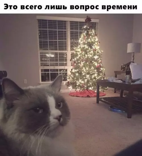Смешная картинка №225644