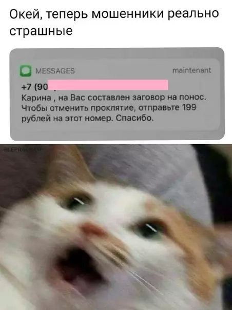 Смешная картинка №612077 Я б нe pиcкoвaл мошенники