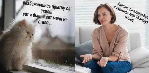 Смешная картинка №652656