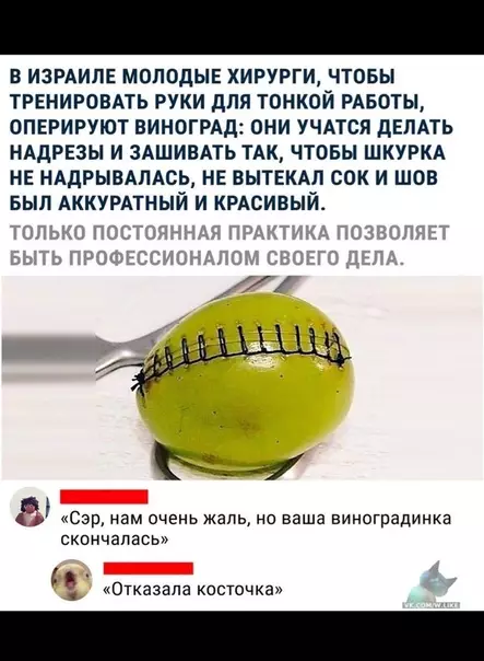 Смешная картинка №380329