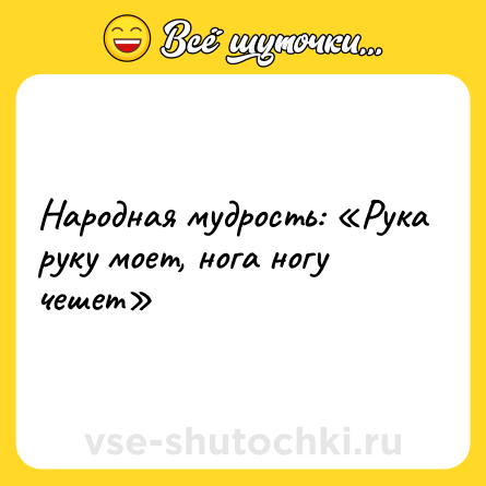 Шутка: Народная мудрость: «Рука руку моет, нога ногу чешет»