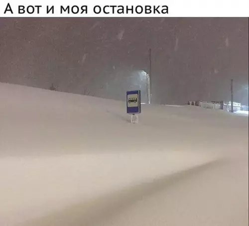Смешная картинка №246952