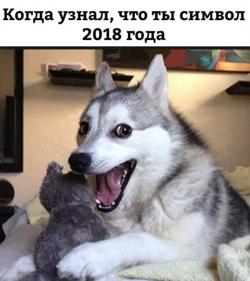Смешная картинка №226931