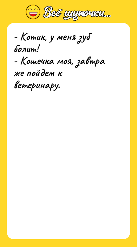 - Котик, у меня зуб болит! - Кошечка моя, завтра