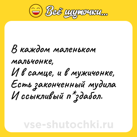 Шутка: В каждом маленьком мальчонке,<br>И в самце, и в мужичонке,<br>Есть законченный мудила<br>И ссыкливый п*здабол.