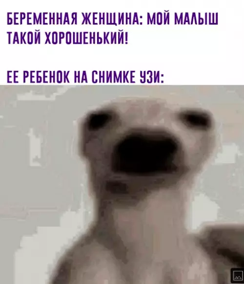 Смешная картинка №644907