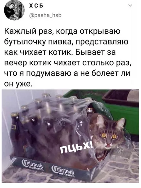 Смешная картинка №507026 пожалей котика - переходи на полторашки!