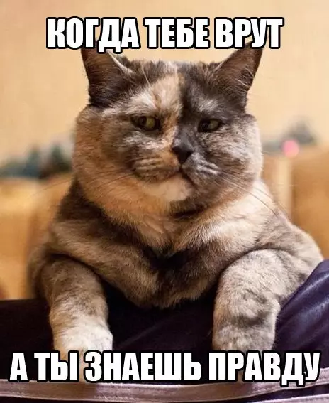 Смешная картинка №183716